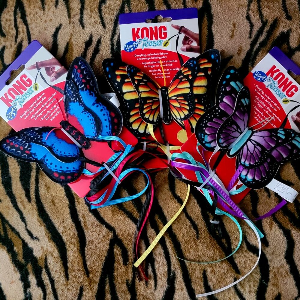 Kong Cat Kitten Butterfly Teaser w/Catnip ea. Various Colors New!